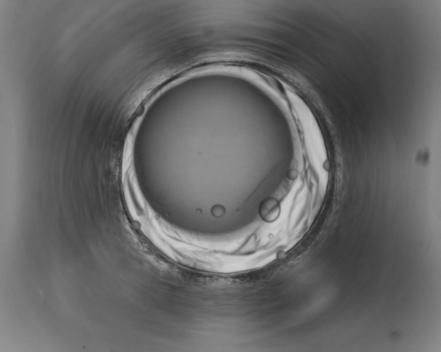 X0000114730945200911181425