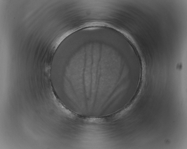 X0000114730953200911181426