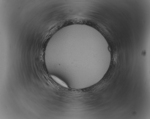 X0000114730964200911181425