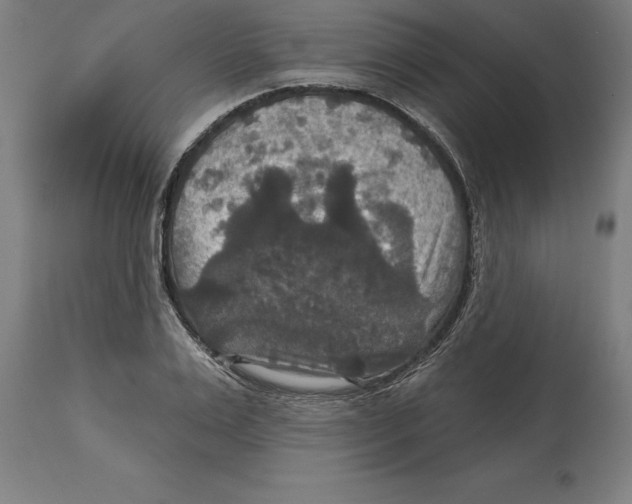 X0000114730983200911181425