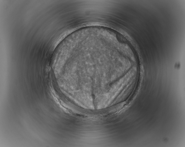 X0000114730993200911181425