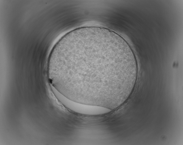 X0000114731008200911181424