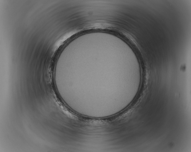 X0000114731018200911181424