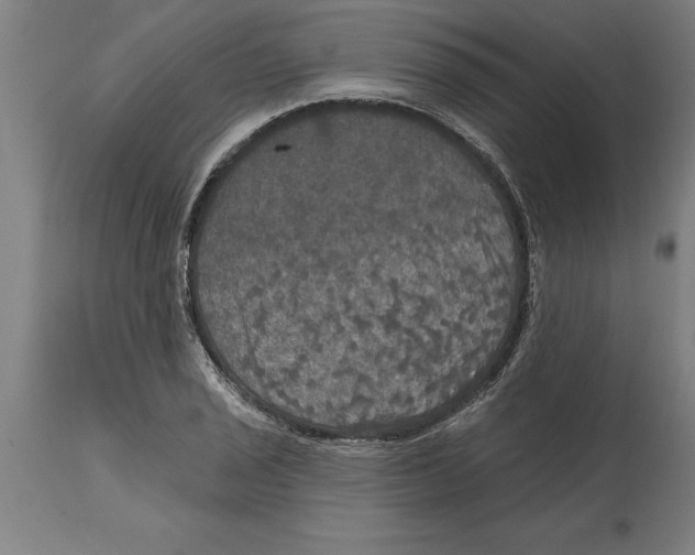 X0000114731029200911181424