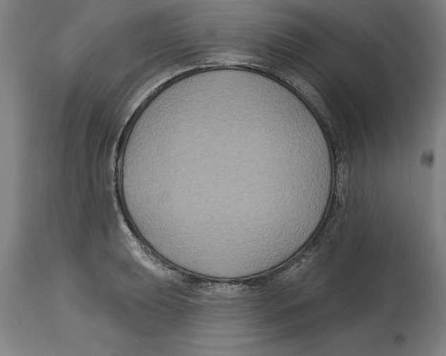 X0000114731039200911181424