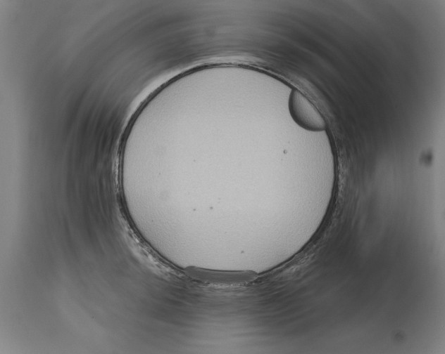 X0000114731044200911181424