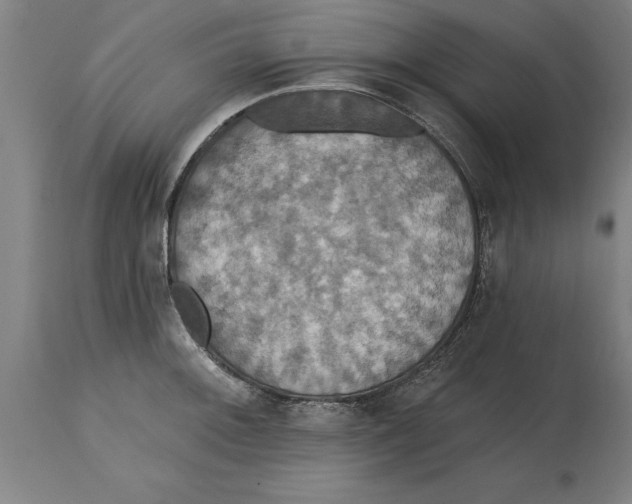 X0000114731092200911181423