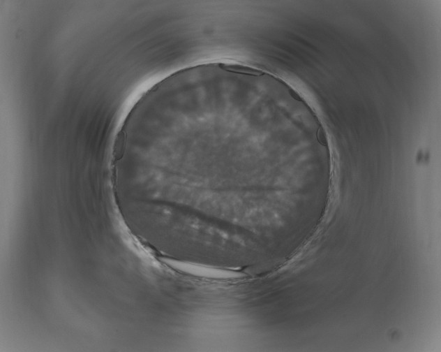 X0000114731104200911181423