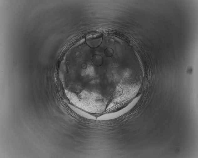 X0000114731106200911181422