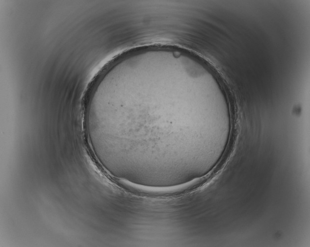 X0000114731118200911181422