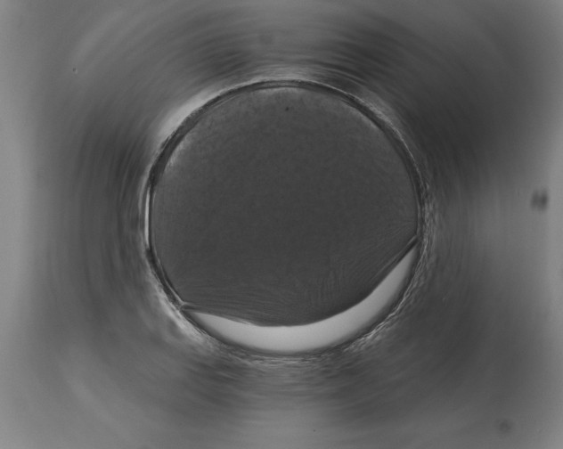 X0000114731127200911181422