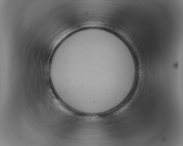 X0000114731129200911181422