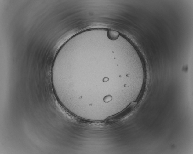 X0000114731137200911181422