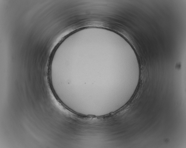 X0000114731139200911181422