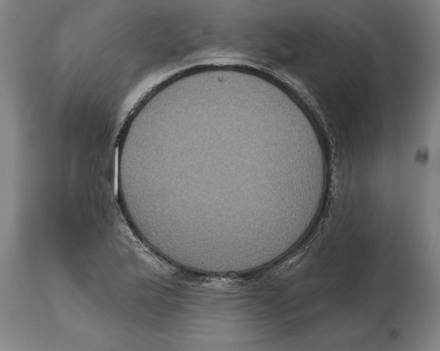 X0000114731175200911181422