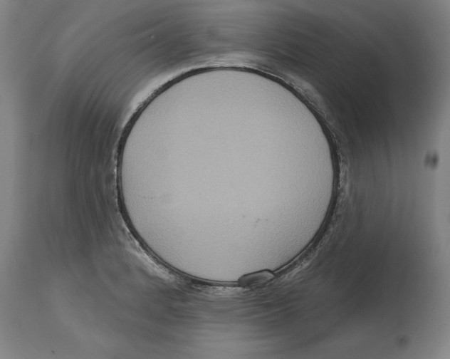 X0000114731184200911181421