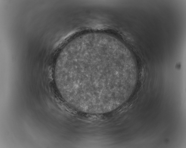 X0000114731205200911181420