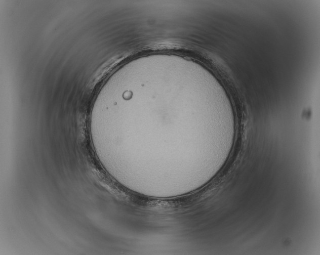 X0000114731217200911181421