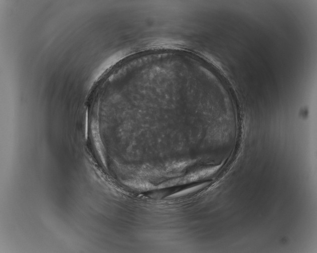 X0000114731219200911181421