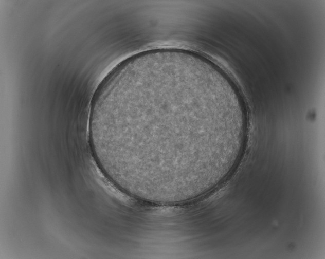 X0000114731228200911181421