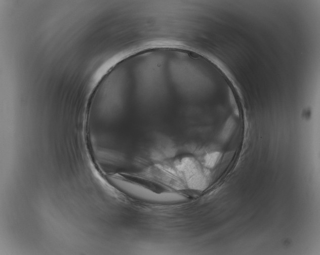 X0000114731245200911181421