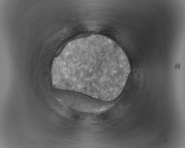 X0000114731249200911181420