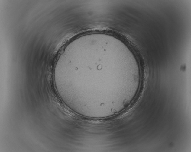 X0000114731257200911181420