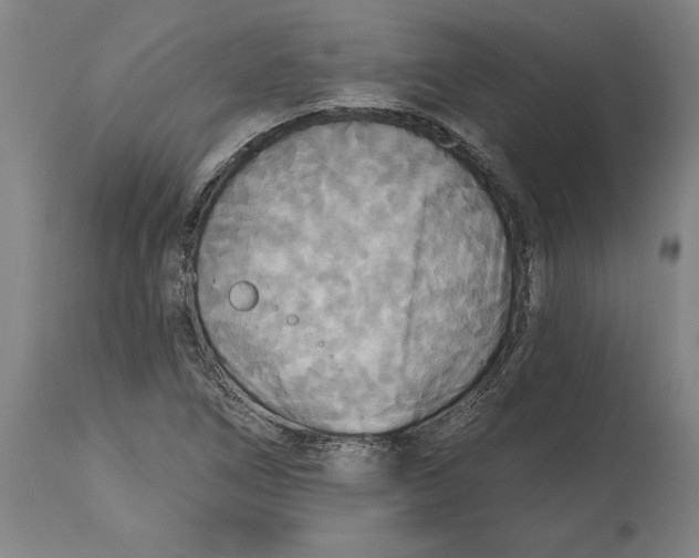 X0000114731266200911181420