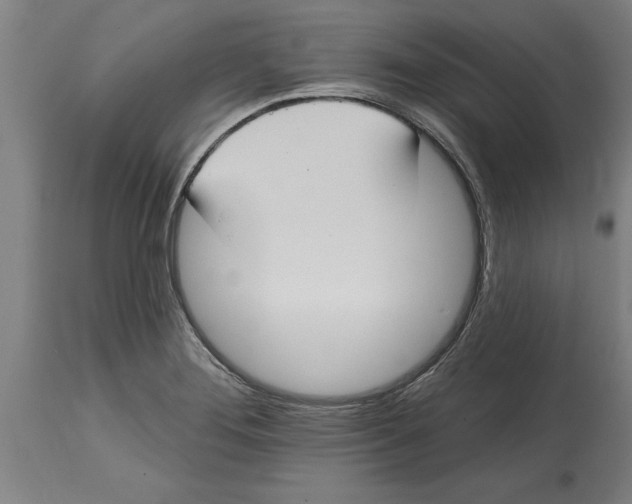 X0000114731276200911181420