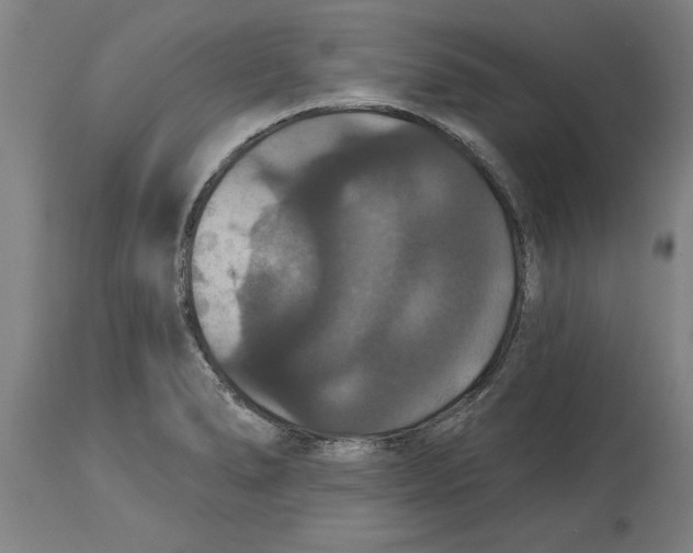 X0000114731278200911181420