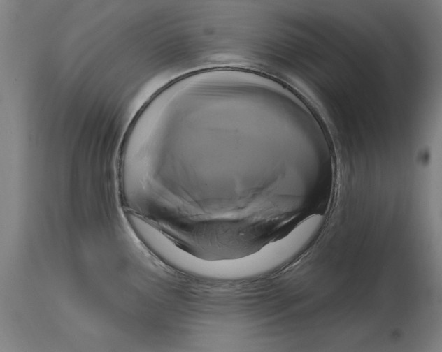 X0000114731291200911181420