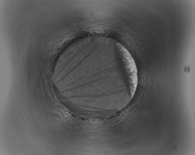 X0000114731297200911181418