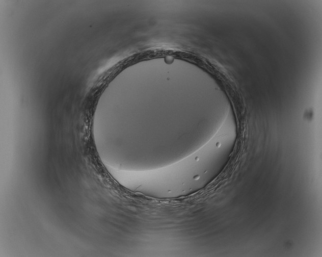 X0000114731303200911181419