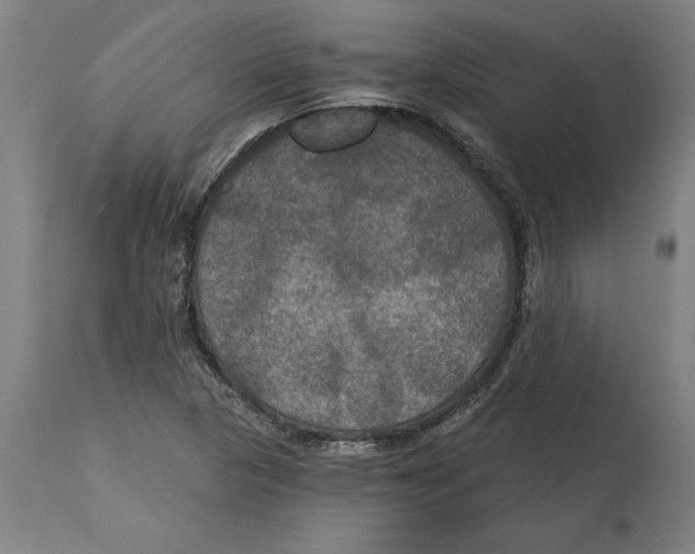 X0000114731313200911181419