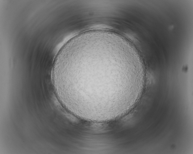 X0000114731322200911181419