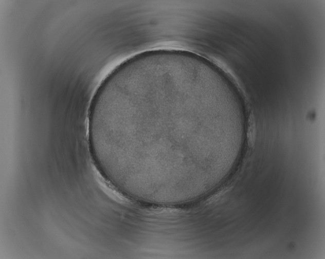 X0000114731372200911181418