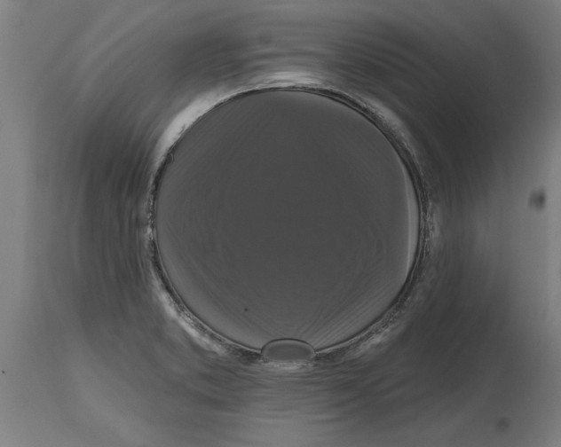 X0000114731373200911181418