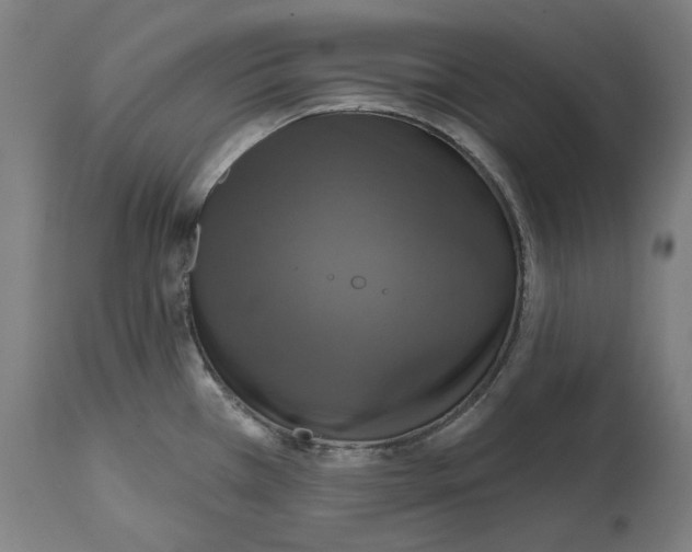 X0000114731385200911181418