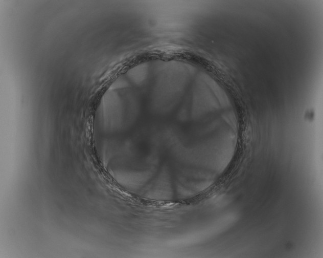 X0000114731397200911181417