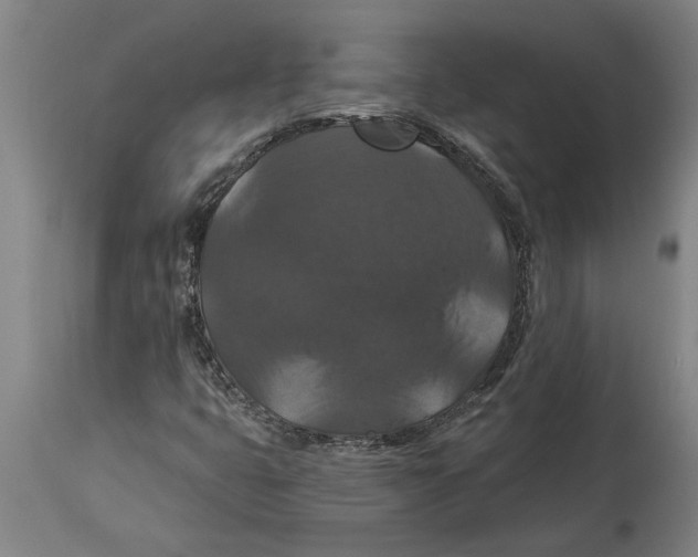 X0000114731399200911181417