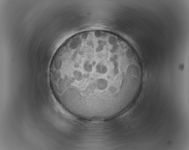 X0000114731423200911181418