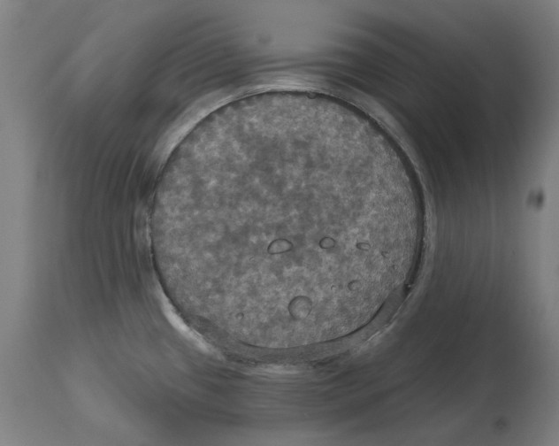 X0000114731433200911181418