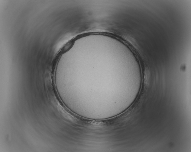 X0000114731452200911181417