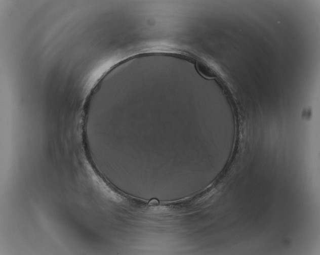 X0000114731463200911181417