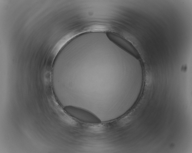 X0000114731473200911181417