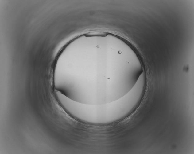 X0000114731510200911181416