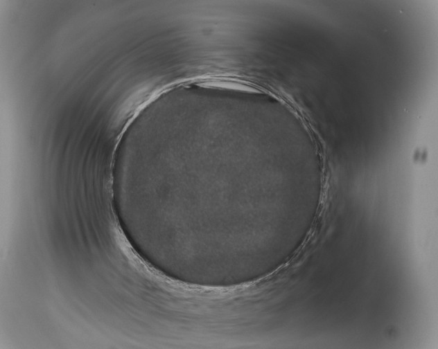 X0000114990002200911091346