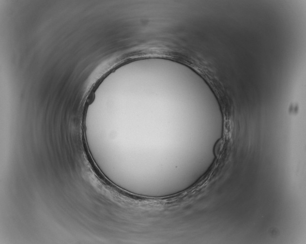 X0000114990004200911091346