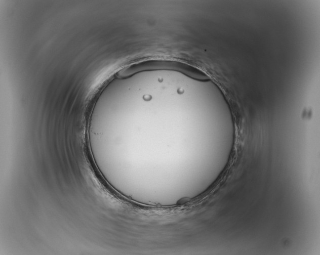 X0000114990005200911091346