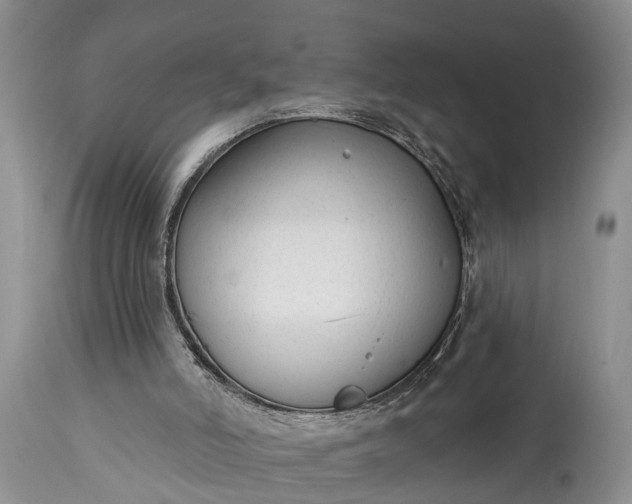 X0000114990006200911091346